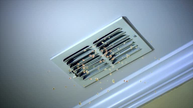 Best Air Vent Cleaning Services  in Desoto, TX