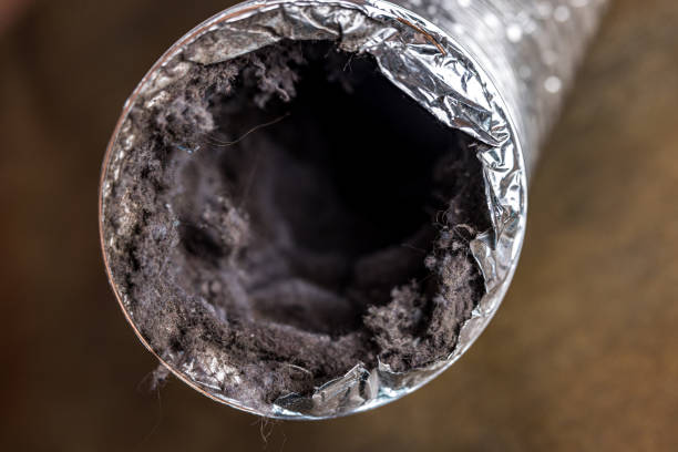 Best Air Duct Cleaning Company Near Me  in Desoto, TX